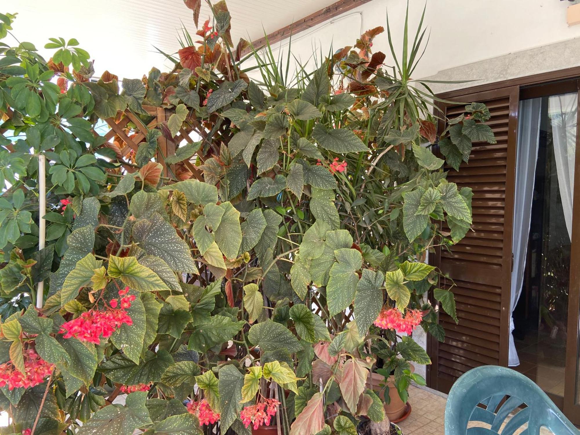A Casa Da Maria Villa Luz de Tavira Buitenkant foto